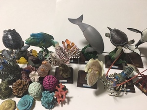 詰め合わせ ネイチャーテクニカラー 鳥羽水族館 シークレット いろいろ セット フィギュア ニシキエビ コブシメ 珊瑚礁