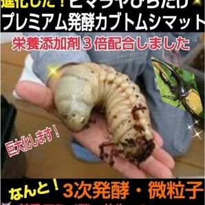 20L入り幼虫が巨大化！ヒマラヤひらたけプレミアム発酵マット☆！3次発酵！微粒子！特殊アミノ酸・共生バクテリア栄養添加剤３倍配合！