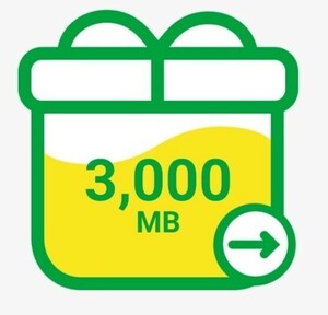 mineoパケットギフト　 3GB