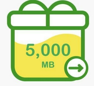 mineoパケットギフト 　5GB