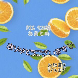 PIG 928様 おまとめ(o^^o)