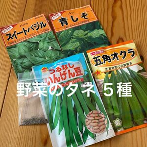 野菜の種　5種