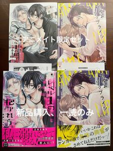 BL新刊　高城リョウ　よも灯　レベル1の抱かれ方　甘咬みリップライン　アニメイト限定セット　美品