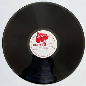 レア！ 2LP コレクター盤「The Beatles - The Little Red Album」ジョンレノン ポールマッカートニー ジョージハリソン リンゴスターの画像8