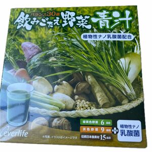 エバーライフ 飲みごたえ 野菜青汁 60包 (60包×1箱) 乳酸菌 配合