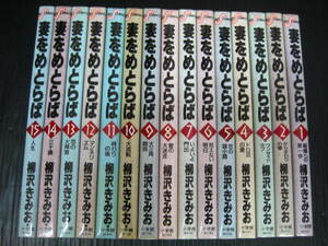 妻をめとらば　全15巻　柳沢きみお　昭和62年～1990年全巻初版発行 1e6d