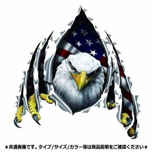 送料無料 カスタム ステッカー 切り裂く イーグル EAGLE アメリカ AMERICA 星条旗 車 バイク ドレスアップ シール USA 米 CUSTOM STICKER