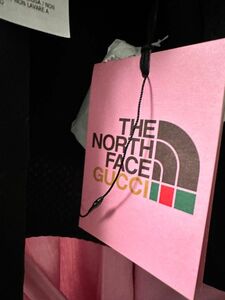 【未使用】GUCCI×THE NORTH FACE グッチ ノースフェイス 663909 裏起毛 パッカブル