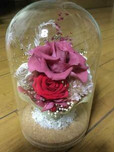  beautiful goods glass case attaching Blizzard flower rose 