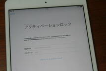 iPad mini