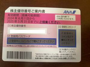 ANA全日空株主割引優待券 1枚 2024年6月1日 ~ 2025年5月31日搭乗分まで