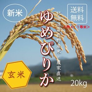 ゆめぴりか　玄米20kg お米　米　ブランド米　農家直送　玄米価格　特A米　小分け対応可　北海道米　1等米