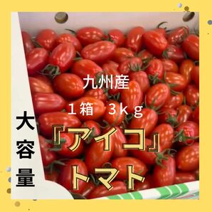 【5月のフルーティ『アイコトマト』】１時箱３ｋｇ 《大容量》《送料無料》《九州産》5月順次発送 