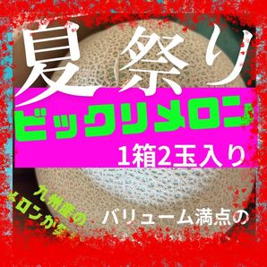 【5月の大玉フルーツ】【ビックリメロン祭】アールスメロン　大玉2玉　《送料無料》