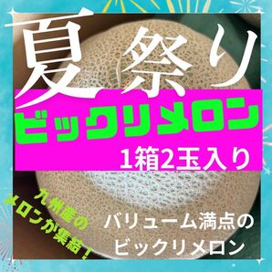 九州産　アールスメロン　大玉2玉　《送料無料》