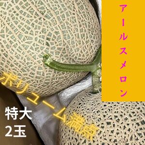 【セール】九州産　アールスメロン　特大2玉　《送料無料》