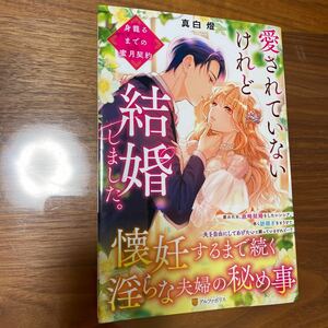 ノーチェブックス新刊　愛されていないけれど結婚しました。真白燈 送料無料