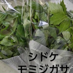 山菜 シドケ (モミジガサ) 250 g