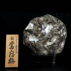 。◆楾◆ 古美術品 瑪瑙梅花石 「鴬宿梅」 特大37cm 36kg 木台、木札付 鑑賞石 水石 盆景 天然石 唐物骨董 T[B293.1]PT3/24.3廻/SI/(佐160)