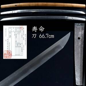 ◆楾◆ 鎌倉時代 寿命 刀 66.7cm 刀剣武具骨董 [G233]Ve/24.4廻/TB/(140)