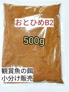 (沈下性) 餌の定番 メダカ餌 おとひめB2 500g 日清丸紅飼料 グッピー 熱帯魚