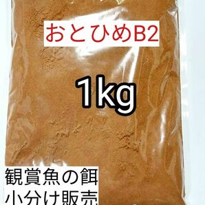 (沈下性) 餌の定番 メダカ餌 おとひめB2 1kg 日清丸紅飼料 グッピー 熱帯魚