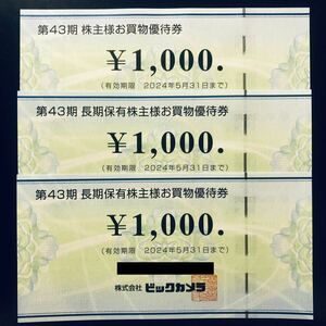 ビックカメラ　株主優待　3000円分