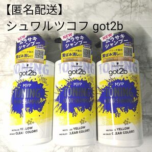 【匿名発送】シュワルツコフ got2bｂ カラーシャンプー 300mL 3本