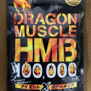 HMB 100,000mg 薬剤師監修 日本製 HMBサプリ ドラゴンマッスル ダイエット BCAA クレアチン アルギニン