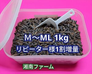 M～ML 1kg 冷凍 コオロギ 脚部除去済 ★リピーター様1割増量 タッパー入り 氷スコップ付き