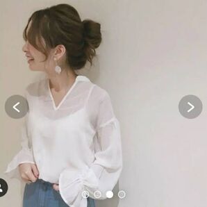 シフォン刺繍ブラウス CH17A0042060100