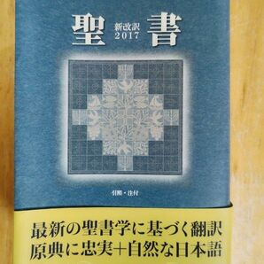 あまがみ様交渉分　新改訳聖書　中型　いのちのことば社 