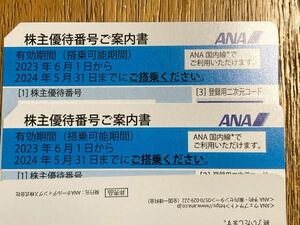 ANA 株主優待券 2枚 2024/5/31期限