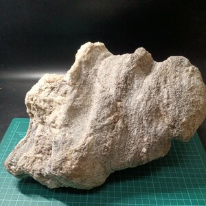 52016 南極の石　柘榴石黒雲母片麻岩　38cm×30cm　8.5kg
