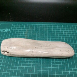 52030 木の化石　スリランカ　21cm×6cm×3cm