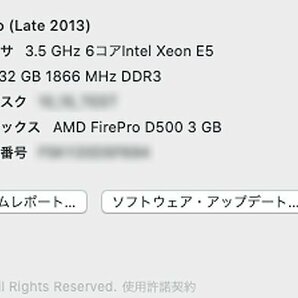 Apple純正SSD搭載 ◇ Apple Mac Pro MD878J/A (Late 2013)【6コア Xeon_3.5GHz/メモリ 32GB/SSD 512GB/FirePro D500 x 2/同梱発送不可】の画像9