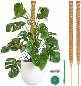 T4U 園芸支柱 64CM モンステラ ココナッツ支柱 観葉植物 つる植物 ガーデニング支柱 維持水分 養分維持 農業用 園芸