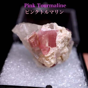 【送料無料】ピンク トルマリン 母岩クォーツ付き 電気石 7.5g T659 鉱物　天然石　原石　パワーストーン