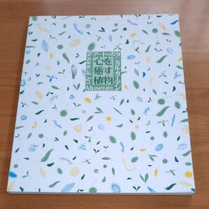 心を癒す植物/アートボタニカルガーデン 目黒区美術館 1996年図版 図録