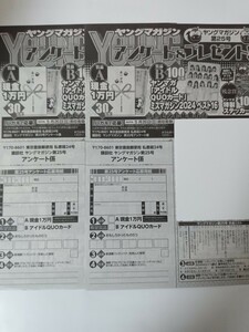 ミスマガジン　クオカード応募用紙2枚　ヤングマガジン no.25