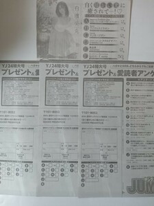 白濱美兎　クオカード応募用紙3枚　ヤングジャンプ no.24