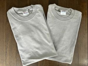 デットストック　Hanes ヘインズ　ビーフィー6.1オンスヘビーウェイトTシャツ　Mサイズ　2枚セット　グラファイトグレー