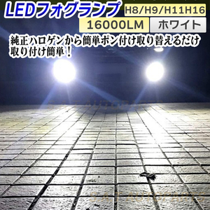 フォグランプ ホワイト 爆光 H8 H9 H11 H16 LED 12v 24v フォグライト 送料無料 アルファード プリウス 送無