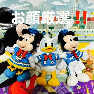 新品タグ付　ディズニー　パルパルーザ　ドナルド　ぬいぐるみバッジ　ミッキー　ぬいぐるみバッジ　ミニー　ぬいぐるみバッジ　全3点