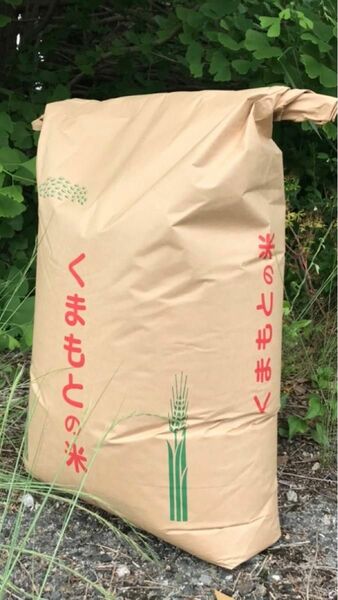 米20Kg送料無料（全国対応）熊本県産