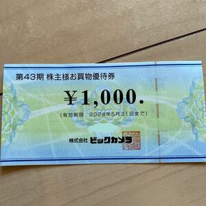 ビックカメラ 株主優待 1000円分　2024年5月31日まで