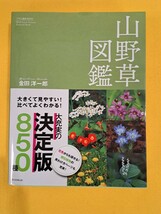 ☆世界のタテハチョウ図鑑 / 卵・幼虫・蛹・成虫・食草 / 手代木求著 北海道大学出版会☆山野草図鑑☆おまとめ_画像5