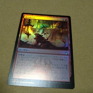 ☆MTG　FOIL　舞台照らし