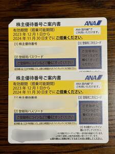 ANA 全日空 株主優待 2枚〜2024.11.30搭乗分