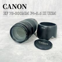 Z153 CANON EF 75-300MM F4-5.6 Ⅲ USM キャノン_画像1